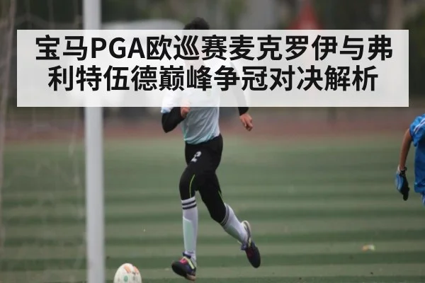 宝马PGA欧巡赛麦克罗伊与弗利特伍德巅峰争冠对决解析